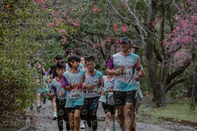 2026左岸竹東櫻花馬拉松Zhudong Sakura Marathon