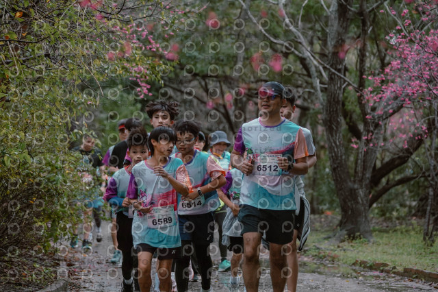 2026左岸竹東櫻花馬拉松Zhudong Sakura Marathon