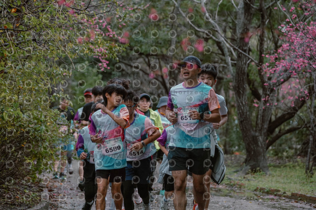 2026左岸竹東櫻花馬拉松Zhudong Sakura Marathon