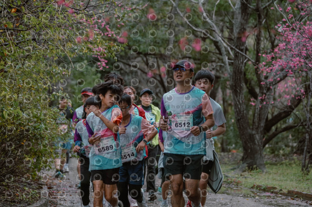 2026左岸竹東櫻花馬拉松Zhudong Sakura Marathon