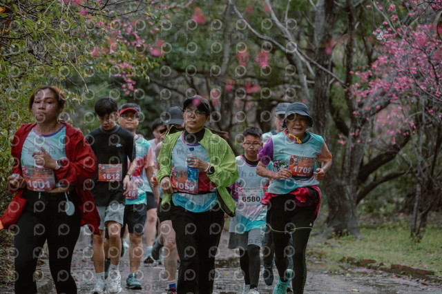 2026左岸竹東櫻花馬拉松Zhudong Sakura Marathon