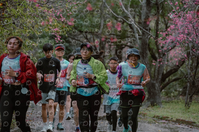 2026左岸竹東櫻花馬拉松Zhudong Sakura Marathon