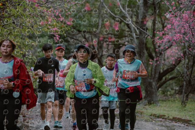 2026左岸竹東櫻花馬拉松Zhudong Sakura Marathon