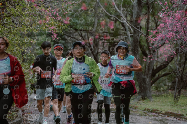 2026左岸竹東櫻花馬拉松Zhudong Sakura Marathon