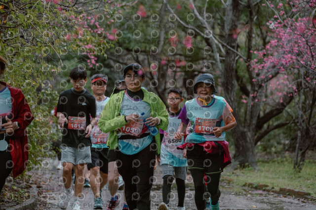 2026左岸竹東櫻花馬拉松Zhudong Sakura Marathon