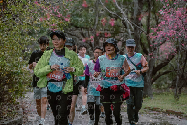 2026左岸竹東櫻花馬拉松Zhudong Sakura Marathon