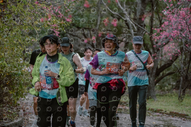 2026左岸竹東櫻花馬拉松Zhudong Sakura Marathon