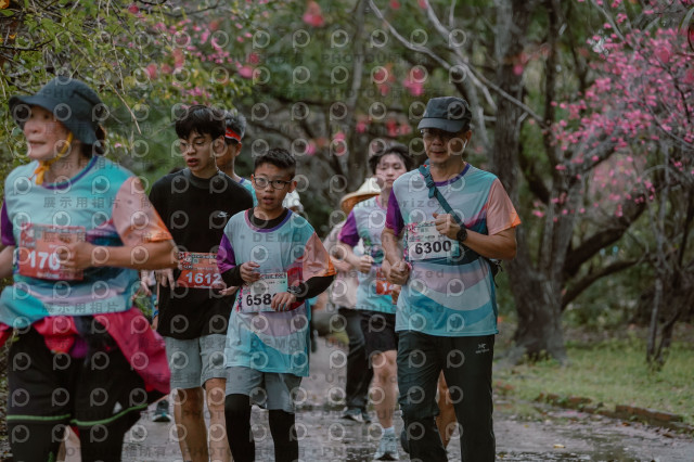 2026左岸竹東櫻花馬拉松Zhudong Sakura Marathon