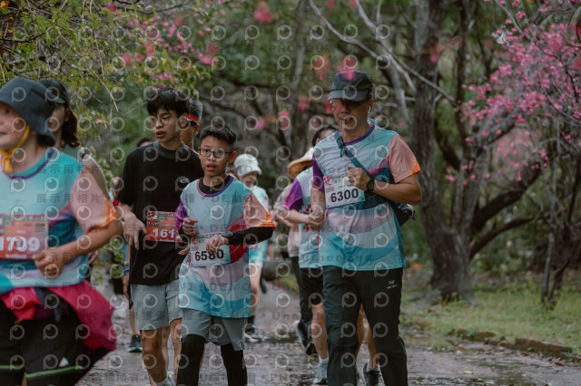 2026左岸竹東櫻花馬拉松Zhudong Sakura Marathon