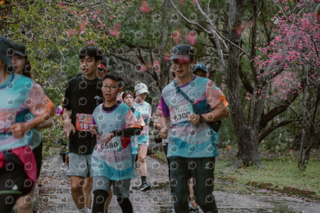 2026左岸竹東櫻花馬拉松Zhudong Sakura Marathon
