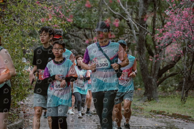 2026左岸竹東櫻花馬拉松Zhudong Sakura Marathon