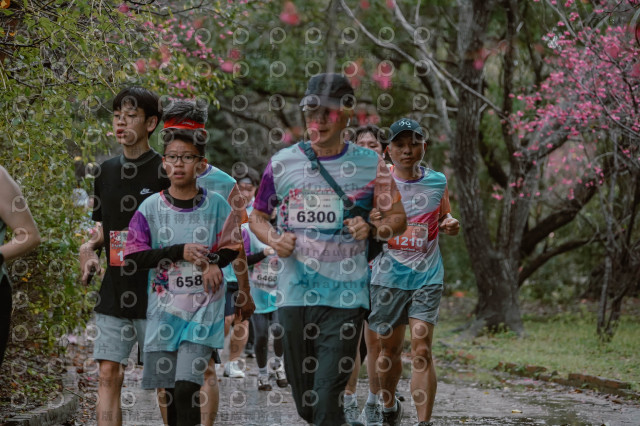 2026左岸竹東櫻花馬拉松Zhudong Sakura Marathon