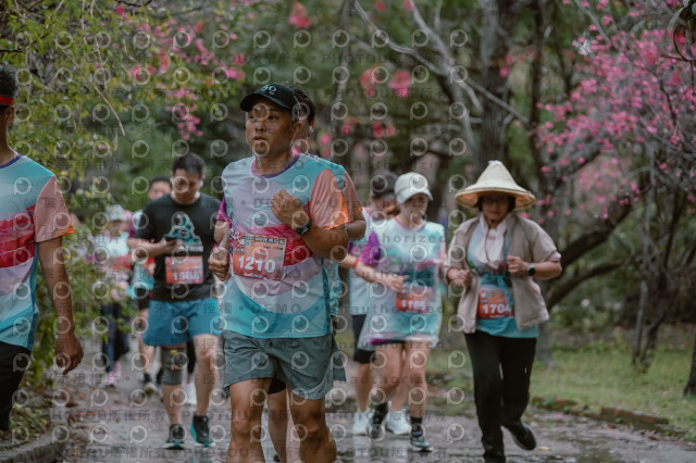 2026左岸竹東櫻花馬拉松Zhudong Sakura Marathon