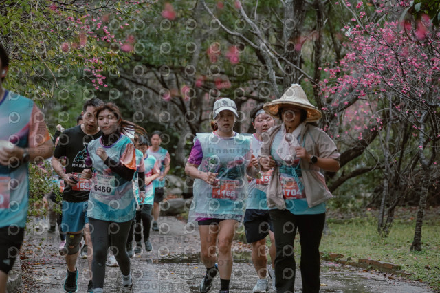 2026左岸竹東櫻花馬拉松Zhudong Sakura Marathon