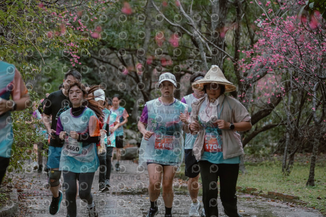 2026左岸竹東櫻花馬拉松Zhudong Sakura Marathon