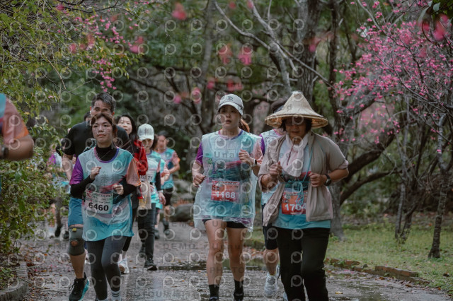 2026左岸竹東櫻花馬拉松Zhudong Sakura Marathon
