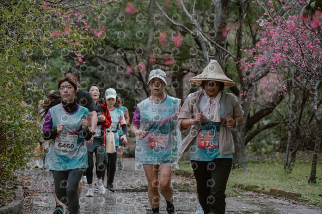 2026左岸竹東櫻花馬拉松Zhudong Sakura Marathon