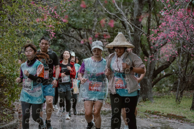 2026左岸竹東櫻花馬拉松Zhudong Sakura Marathon