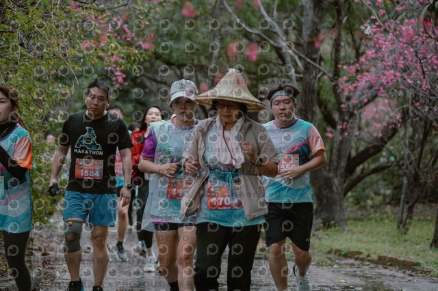 2026左岸竹東櫻花馬拉松Zhudong Sakura Marathon