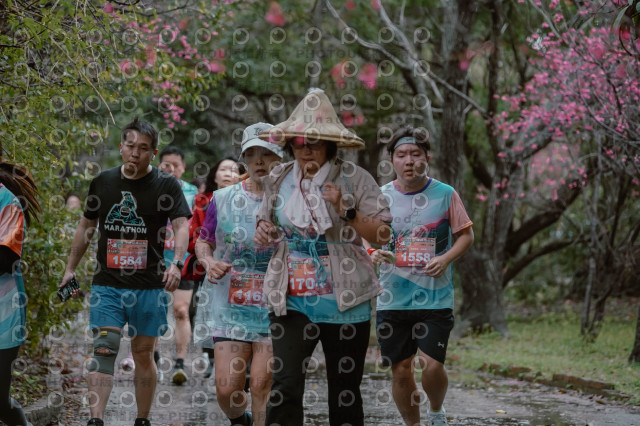 2026左岸竹東櫻花馬拉松Zhudong Sakura Marathon