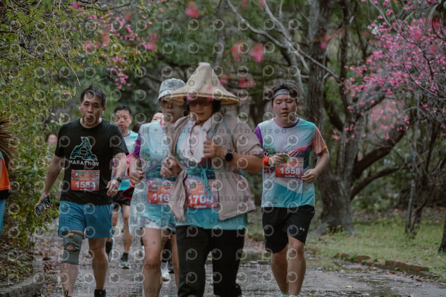 2026左岸竹東櫻花馬拉松Zhudong Sakura Marathon