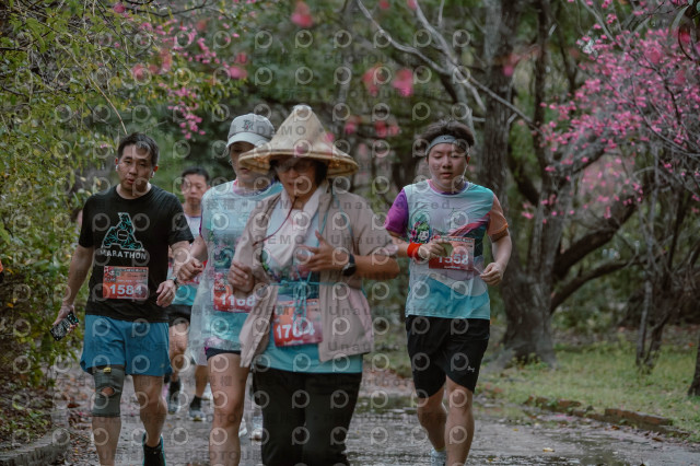 2026左岸竹東櫻花馬拉松Zhudong Sakura Marathon