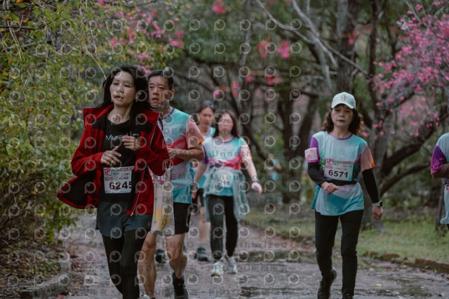 2026左岸竹東櫻花馬拉松Zhudong Sakura Marathon
