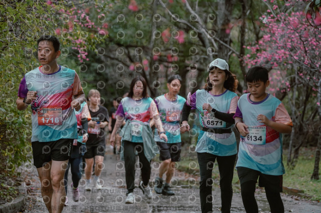 2026左岸竹東櫻花馬拉松Zhudong Sakura Marathon