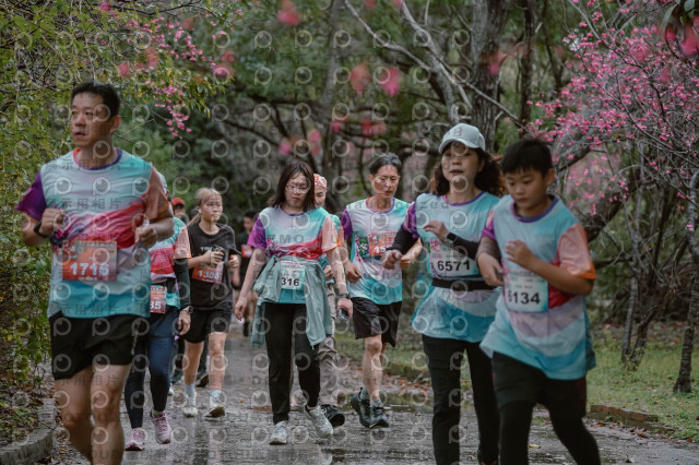 2026左岸竹東櫻花馬拉松Zhudong Sakura Marathon