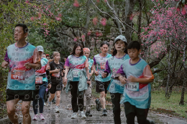 2026左岸竹東櫻花馬拉松Zhudong Sakura Marathon