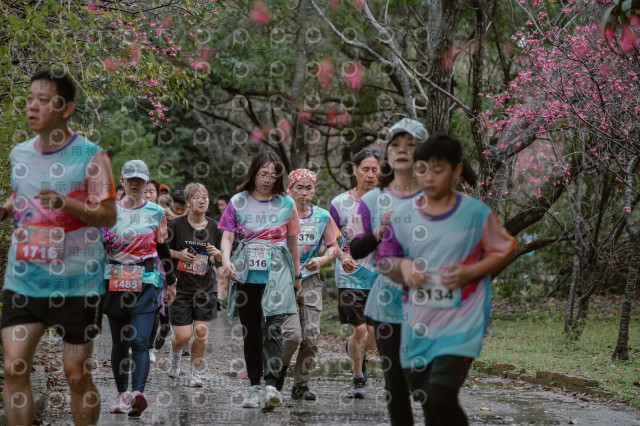 2026左岸竹東櫻花馬拉松Zhudong Sakura Marathon