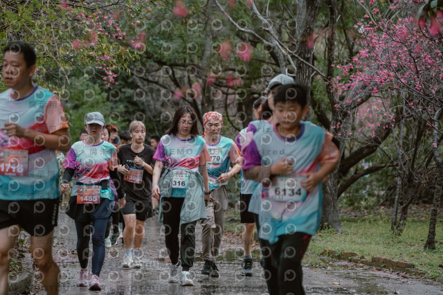 2026左岸竹東櫻花馬拉松Zhudong Sakura Marathon