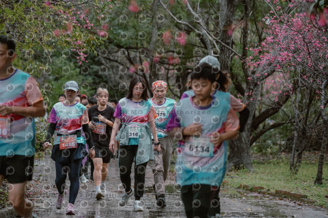2026左岸竹東櫻花馬拉松Zhudong Sakura Marathon