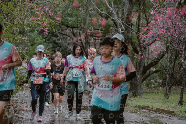2026左岸竹東櫻花馬拉松Zhudong Sakura Marathon