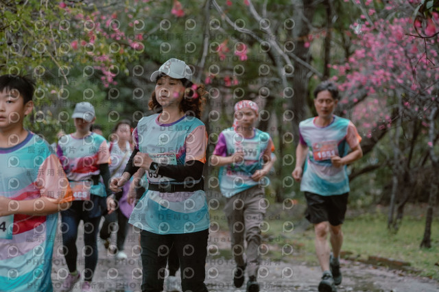 2026左岸竹東櫻花馬拉松Zhudong Sakura Marathon