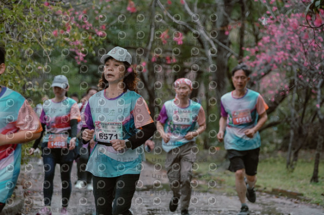2026左岸竹東櫻花馬拉松Zhudong Sakura Marathon