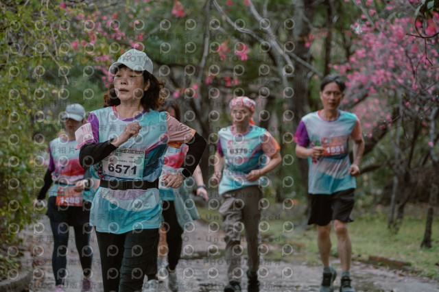 2026左岸竹東櫻花馬拉松Zhudong Sakura Marathon