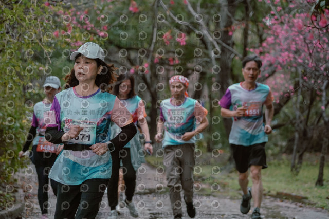 2026左岸竹東櫻花馬拉松Zhudong Sakura Marathon