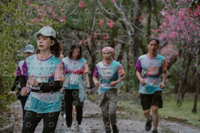 2026左岸竹東櫻花馬拉松Zhudong Sakura Marathon