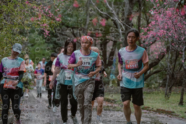 2026左岸竹東櫻花馬拉松Zhudong Sakura Marathon