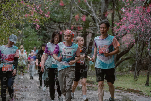 2026左岸竹東櫻花馬拉松Zhudong Sakura Marathon