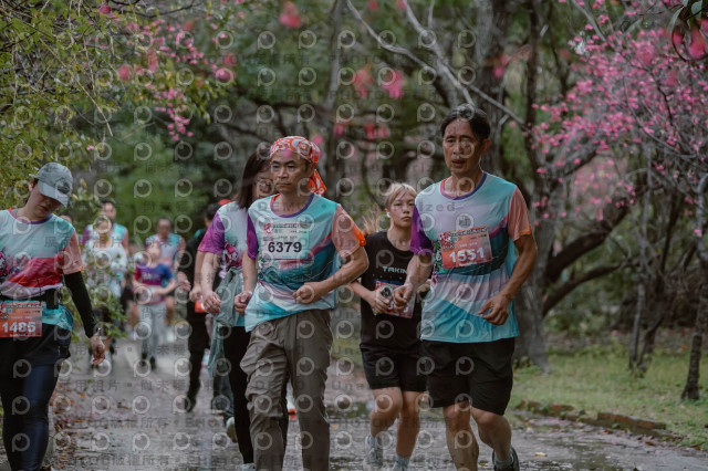 2026左岸竹東櫻花馬拉松Zhudong Sakura Marathon