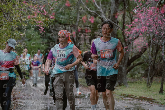 2026左岸竹東櫻花馬拉松Zhudong Sakura Marathon