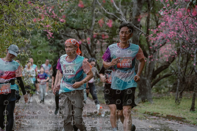 2026左岸竹東櫻花馬拉松Zhudong Sakura Marathon