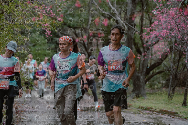 2026左岸竹東櫻花馬拉松Zhudong Sakura Marathon