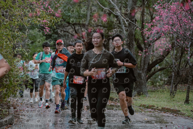 2026左岸竹東櫻花馬拉松Zhudong Sakura Marathon