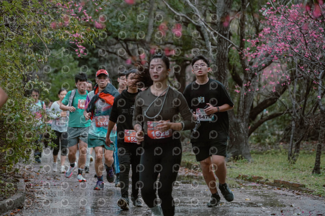 2026左岸竹東櫻花馬拉松Zhudong Sakura Marathon