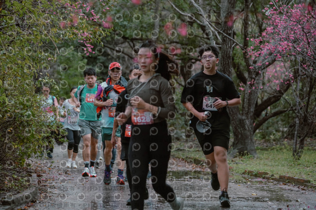 2026左岸竹東櫻花馬拉松Zhudong Sakura Marathon