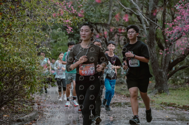 2026左岸竹東櫻花馬拉松Zhudong Sakura Marathon