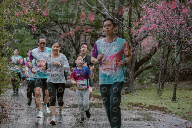 2026左岸竹東櫻花馬拉松Zhudong Sakura Marathon